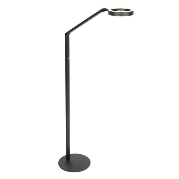 Steinhauer Modern Scandinavisch vloerlamp Ringlux zwart
