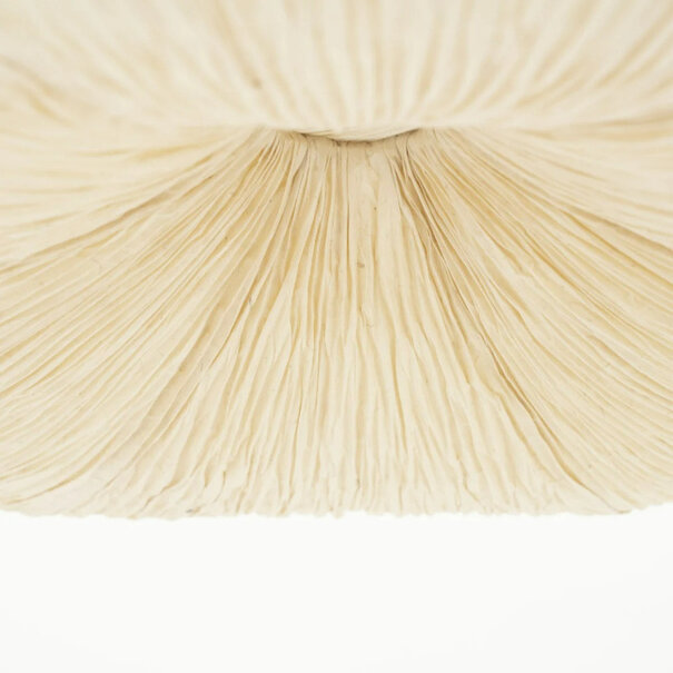 By-Boo Japandi Scandinavisch hanglamp Lokta 2 1-lichts naturel papier