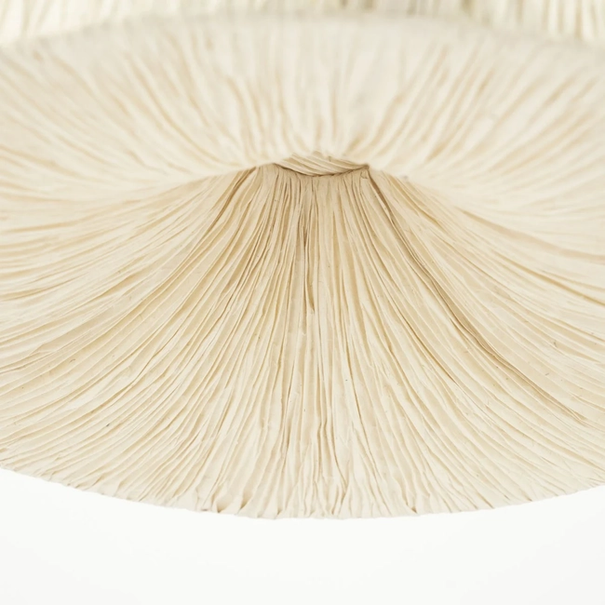 By-Boo Japandi Scandinavisch hanglamp Lokta 1 1-lichts naturel papier