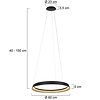 Steinhauer Modern Industrieel hanglamp Ringlux 60 cm zwart goud