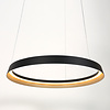 Steinhauer Modern Industrieel hanglamp Ringlux 60 cm zwart goud
