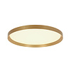 Steinhauer Modern Scandinavisch plafondlamp Flady Ø40 cm goud