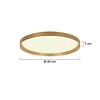 Steinhauer Modern Scandinavisch plafondlamp Flady Ø40 cm goud