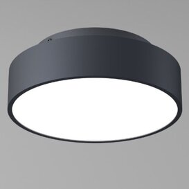 Plafondlamp Chicago 1-lichts zwart