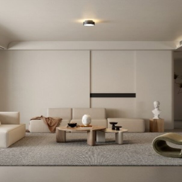 Artdelight Modern minimalistisch plafondlamp Chicago 1-lichts zwart