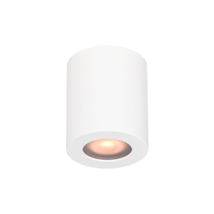 Artdelight Modern Scandinavisch plafondlamp Redondo 1-lichts IP54 wit