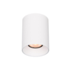 Artdelight Modern Scandinavisch plafondlamp Redondo 1-lichts wit