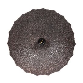 Wandlamp Kyra 1-lichts brons