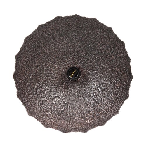 Moderne Industriële wandlamp Kyra 1-lichts brons