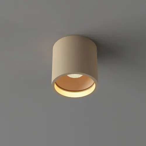 Moderne Scandinavische plafondlamp Orleans 1-lichts champagne