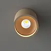 Artdelight Moderne Scandinavische plafondlamp Orleans 1-lichts champagne