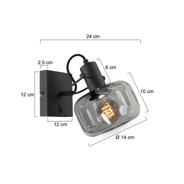Steinhauer Retro Industriële wandlamp Glaslic 1-lichts smokeglas