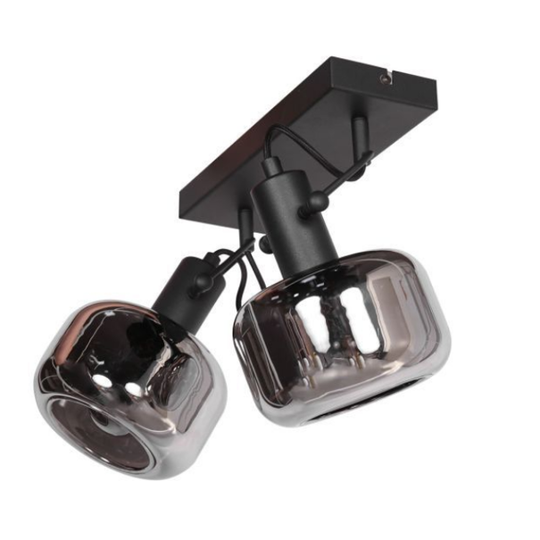 Steinhauer Retro Industriële wandlamp Glaslic 2-lichts smoke glas
