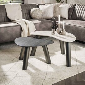 Salontafel Ronin organisch set van 2 travertin zwart grijs