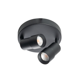 Opbouwspot Liam 2-lichts rond zwart