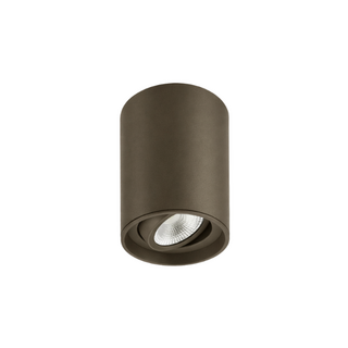 Opbouwspot Viggo 1-lichts Anodic brown kantelbaar