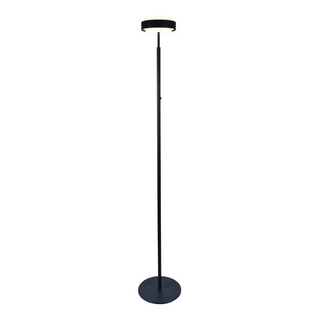 Vloerlamp Puleggia 1-lichts zwart