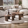 Modern landelijke salontafel Mae set van 2 massief acacia bruin