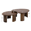 BelaLuz Modern landelijke salontafel Mae set van 2 massief acacia bruin
