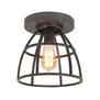 Industriële plafondlamp Orion zwart 25 cm
