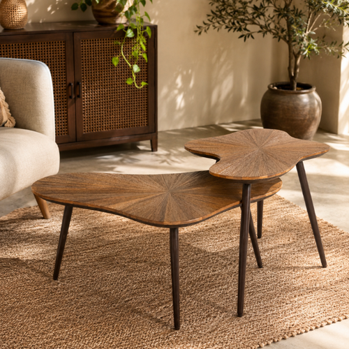 Moderne salontafel Loma set van 2 teakhout