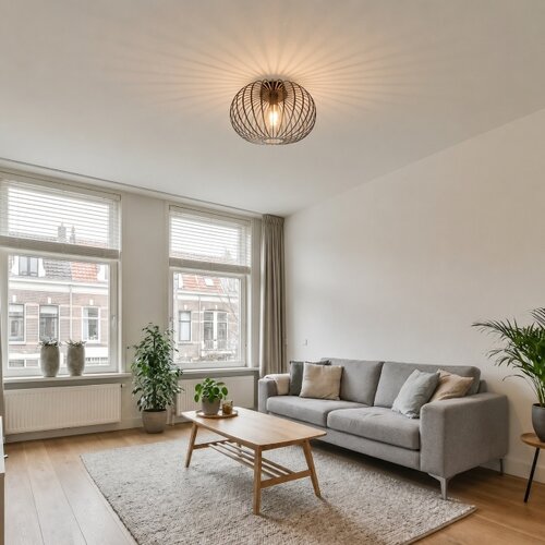 Industriële plafondlamp Aglio 1-lichts brons Ø40 cm
