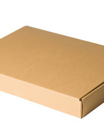 Brievenbus doos E golf 310 x 220 x 28 mm Wit A4