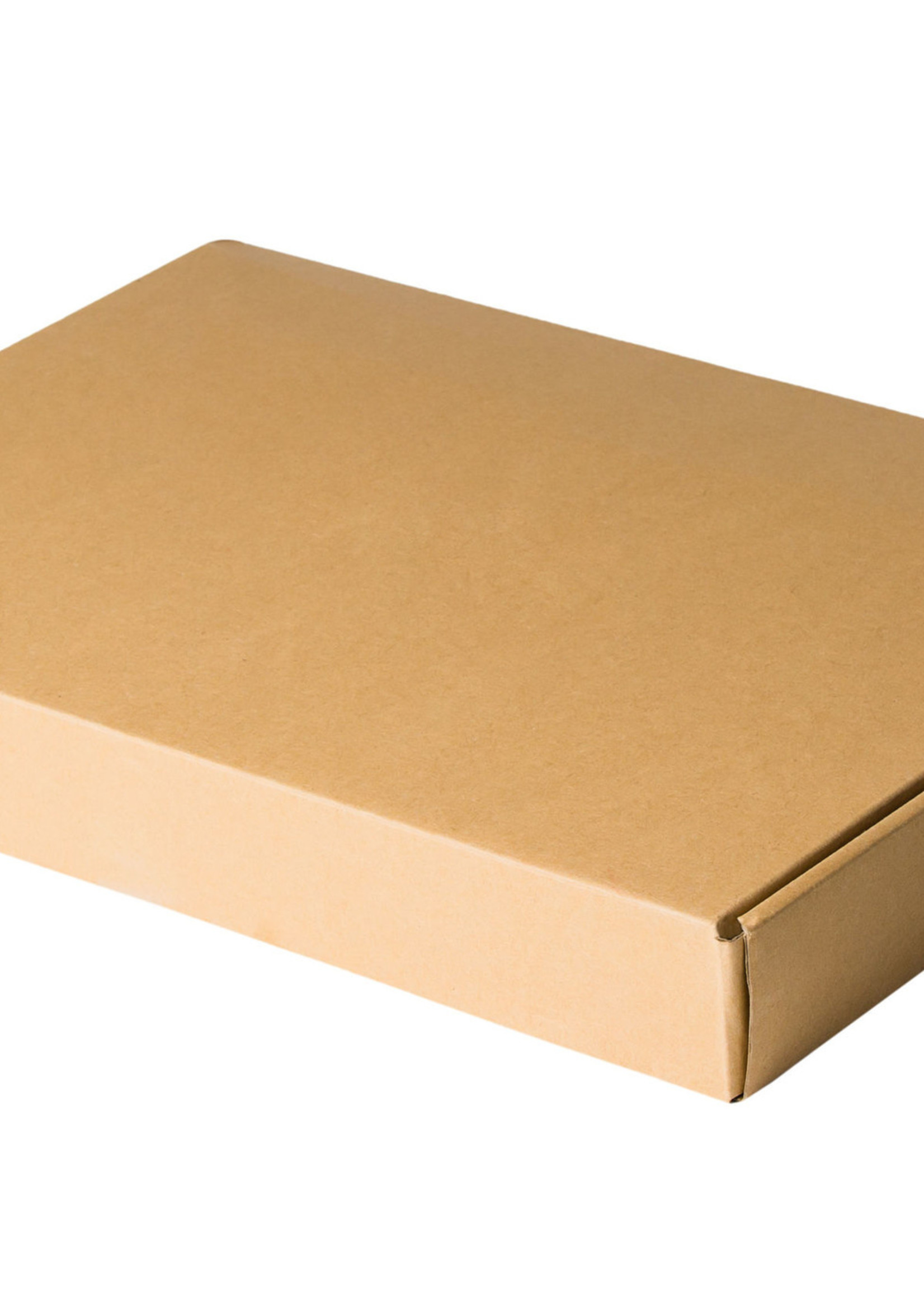 Brievenbus doos E golf 310 x 220 x 28 mm Wit A4 ( 50 stuks)