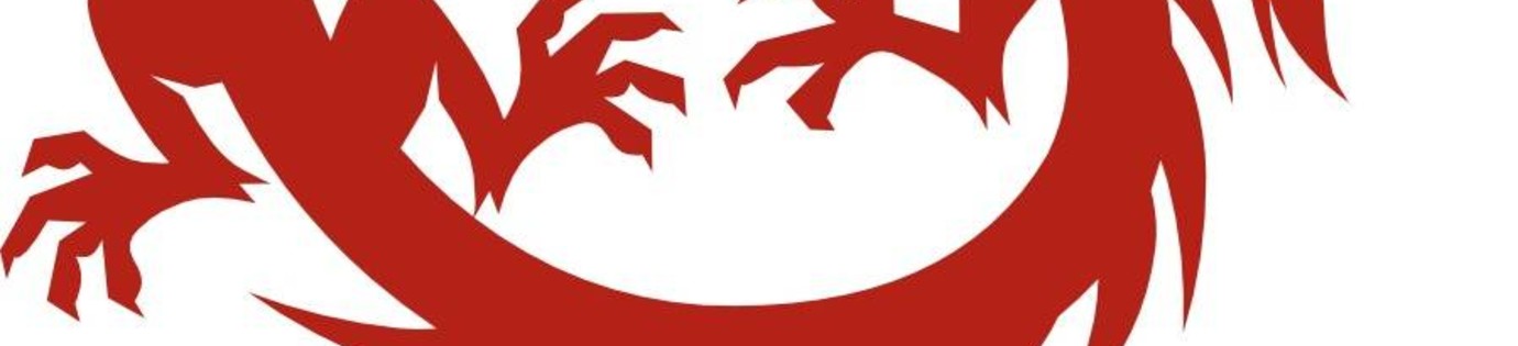 Waarom kiezen voor Best Fightshop?