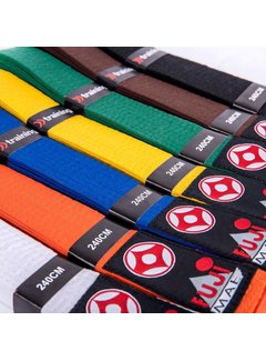 Fuji Mae Kyokushinkai karate band