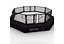 MMA Ringen / Octagons