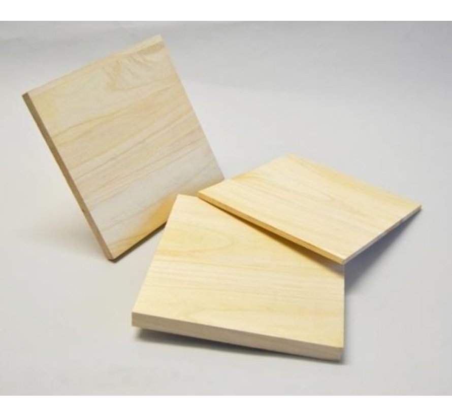 2  x 10mm Houten breekplanken Ideaal voor Tony Robbins Seminar