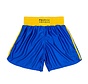 Training Sanda Shorts