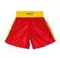 Training Sanda Shorts