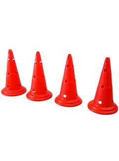 Phoenix 4 pionnen , 50 cm, met gaten