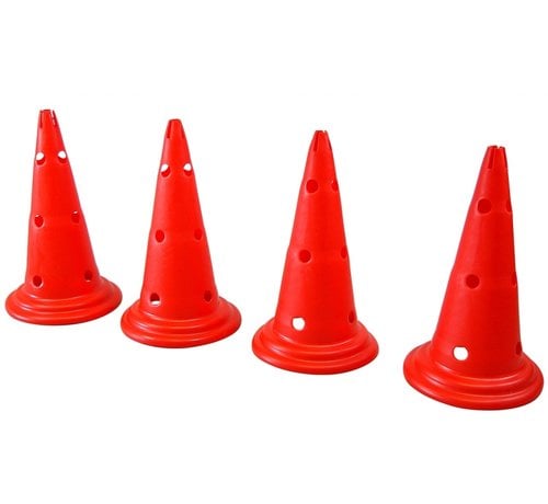 Phoenix 4 pionnen , 50 cm, met gaten