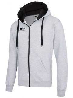 Phoenix PX Hoodie, grijs-zwart