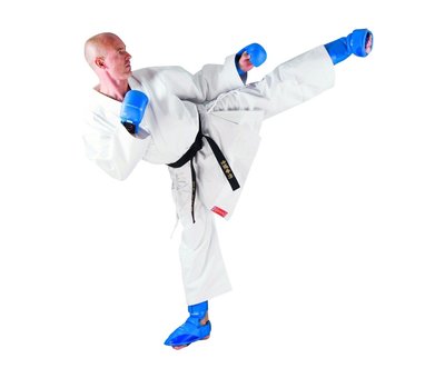 Phoenix Karate pak Europa