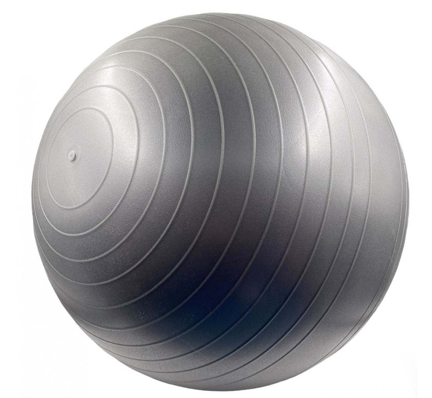 Gym Training Ball 75 cm, grijs