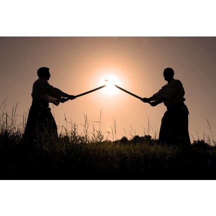 Alles voor Aikido
