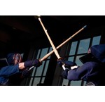 Kendo-Iaido