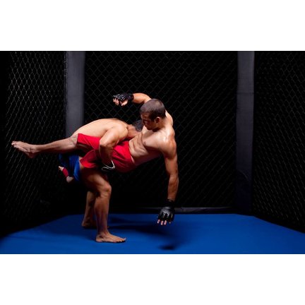 MMA