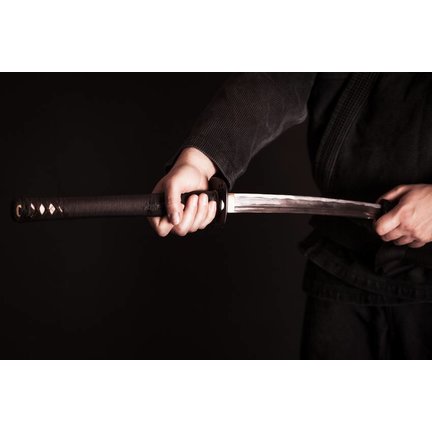 Ninja