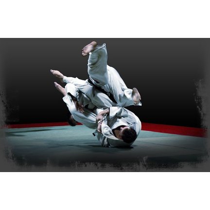 Jiu Jitsu