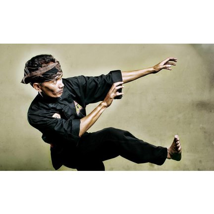 Penjak (Pencak) Silat pakken