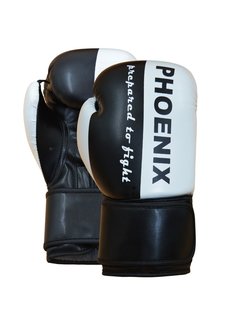Phoenix PX bokshandschoenen "Prepared to Fight"