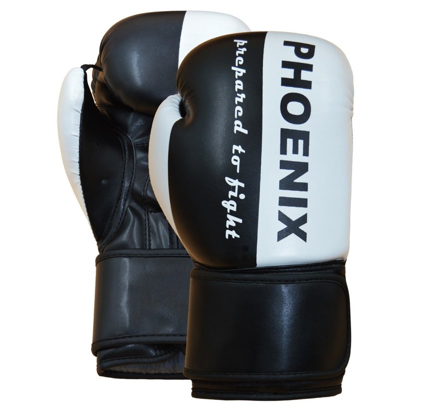 PX bokshandschoenen "Prepared to Fight"