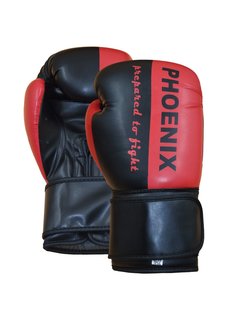 Phoenix PX bokshandschoenen "Prepared to Fight"
