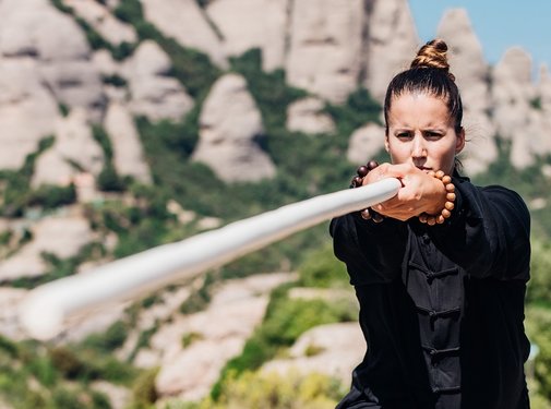 FUJIMAE Wu Shu bo oefenstaf - Wu Shu gun