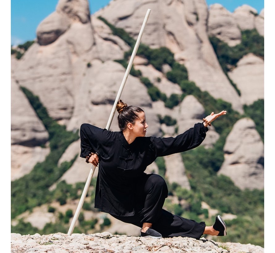 Wu Shu bo oefenstaf - Wu Shu gun